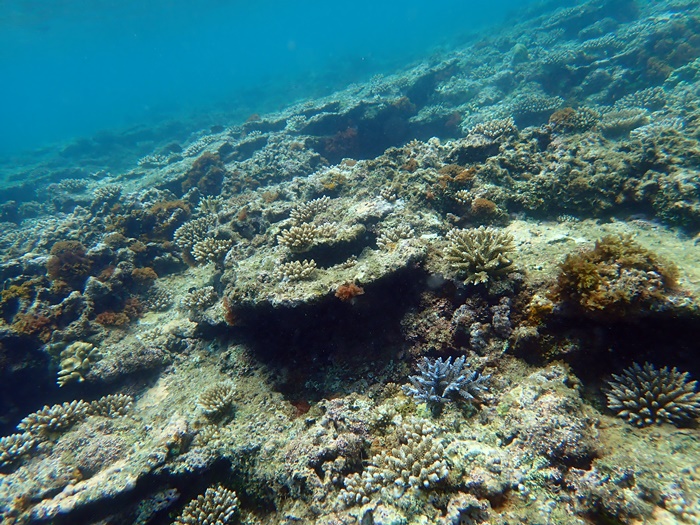 宮古島島日和の半日ビーチシュノーケルファミリープライベートツアーの写真