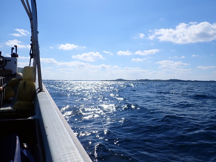 環境省宮古島サンゴ礁モニタリング調査