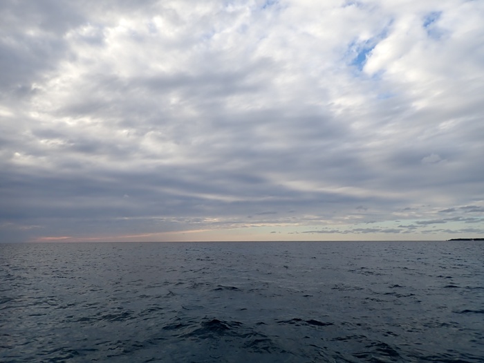 宮古島での環境省モニタリング1000調査